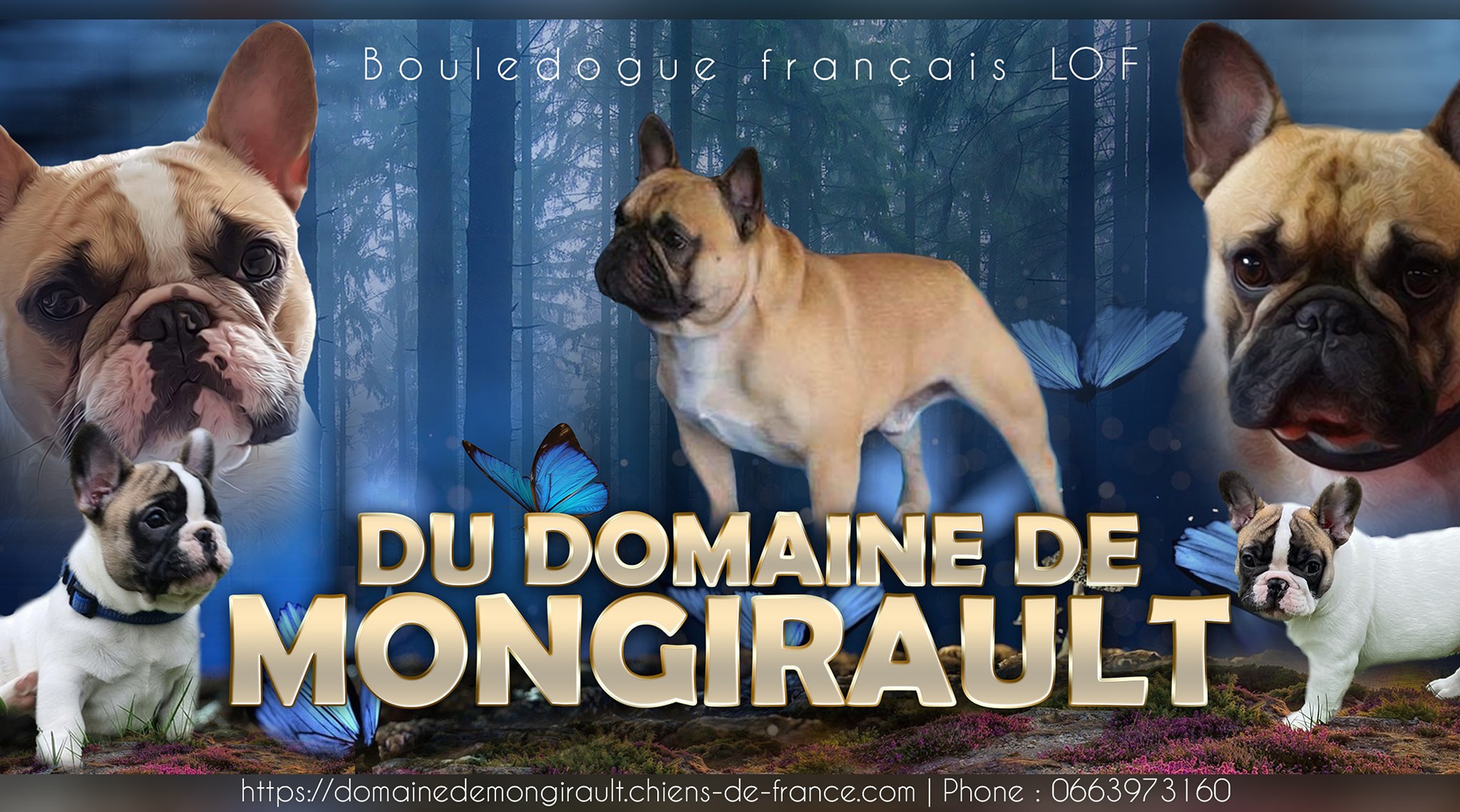 Du Domaine De Mongirault